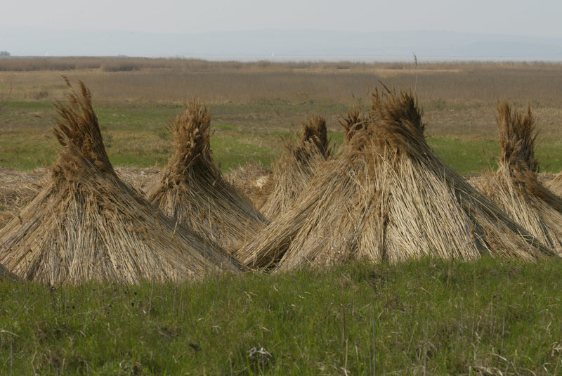 Tradition & Lebensfreude